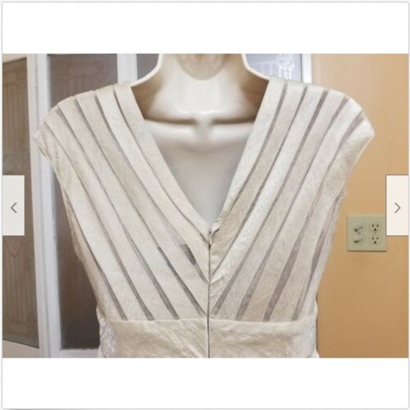 Adrianna Papell Ladies Beautiful Champagne Dress - Picture 5 of 8